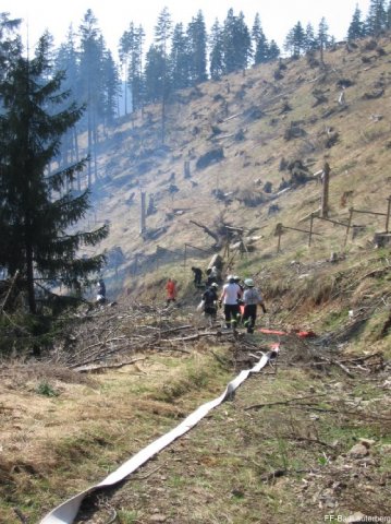 2009_04_10 Waldbrand Sieber 007